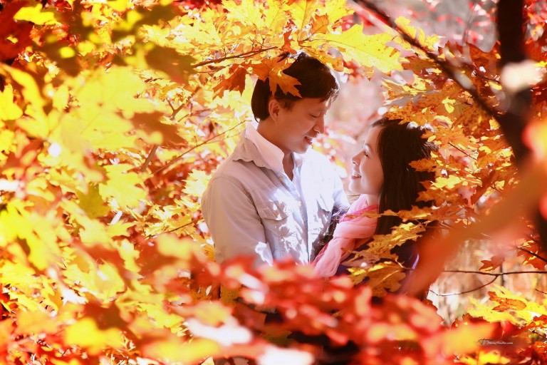 engagement-10
