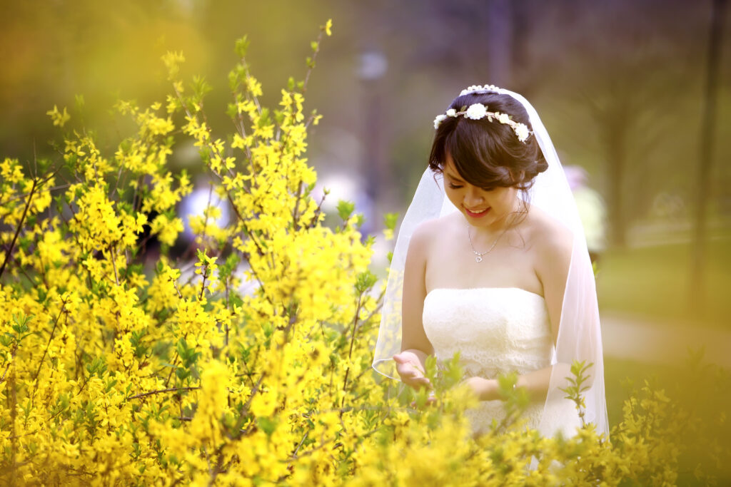 www.tvphotostudio.com