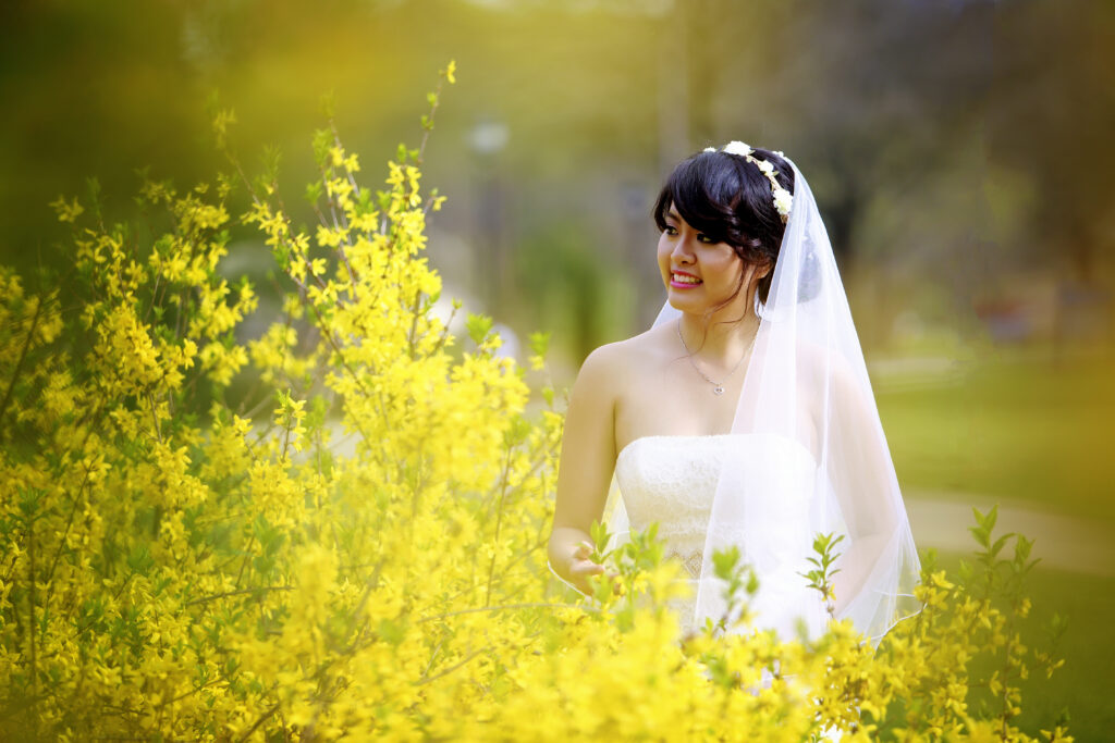www.tvphotostudio.com